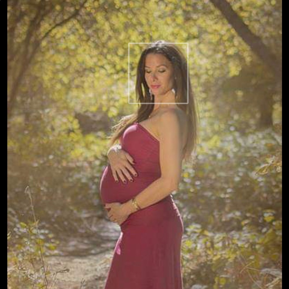 Gaia conceptions organic convertible maxi dress